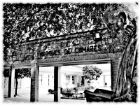 /album/fotogaleria-logos/carmenmgomez-jpg1/