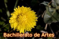 /album/fotogaleria-logos/martaventura-jpg1/